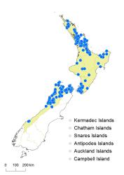 Fuscospora truncata distribution map based on databased records at AK, CHR and WELT. 
 Image: K. Boardman © Landcare Research 2015 CC BY 3.0 NZ